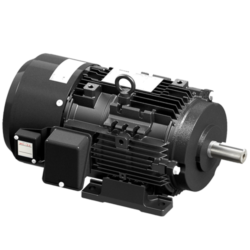 Brake motor (SBD-H series)