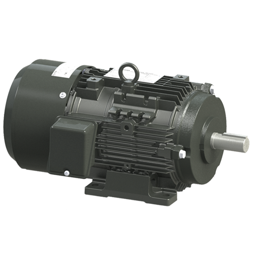 Brake motor (ESB series)