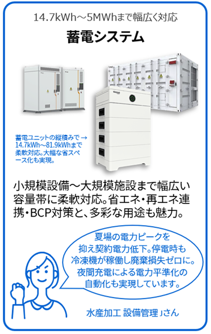 蓄電システム