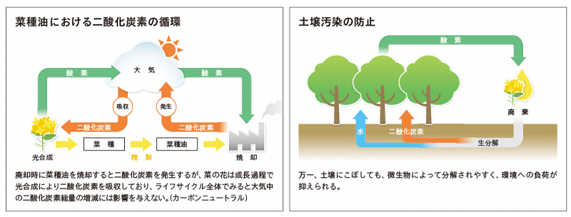 環境調和性 画像